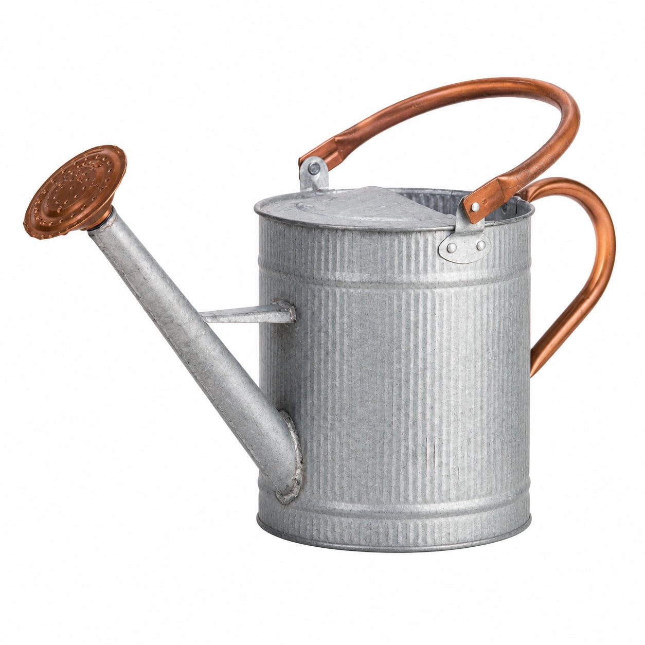 Arrosoir 10 L en acier galvanisé gris cuivré à pomme pour jardin