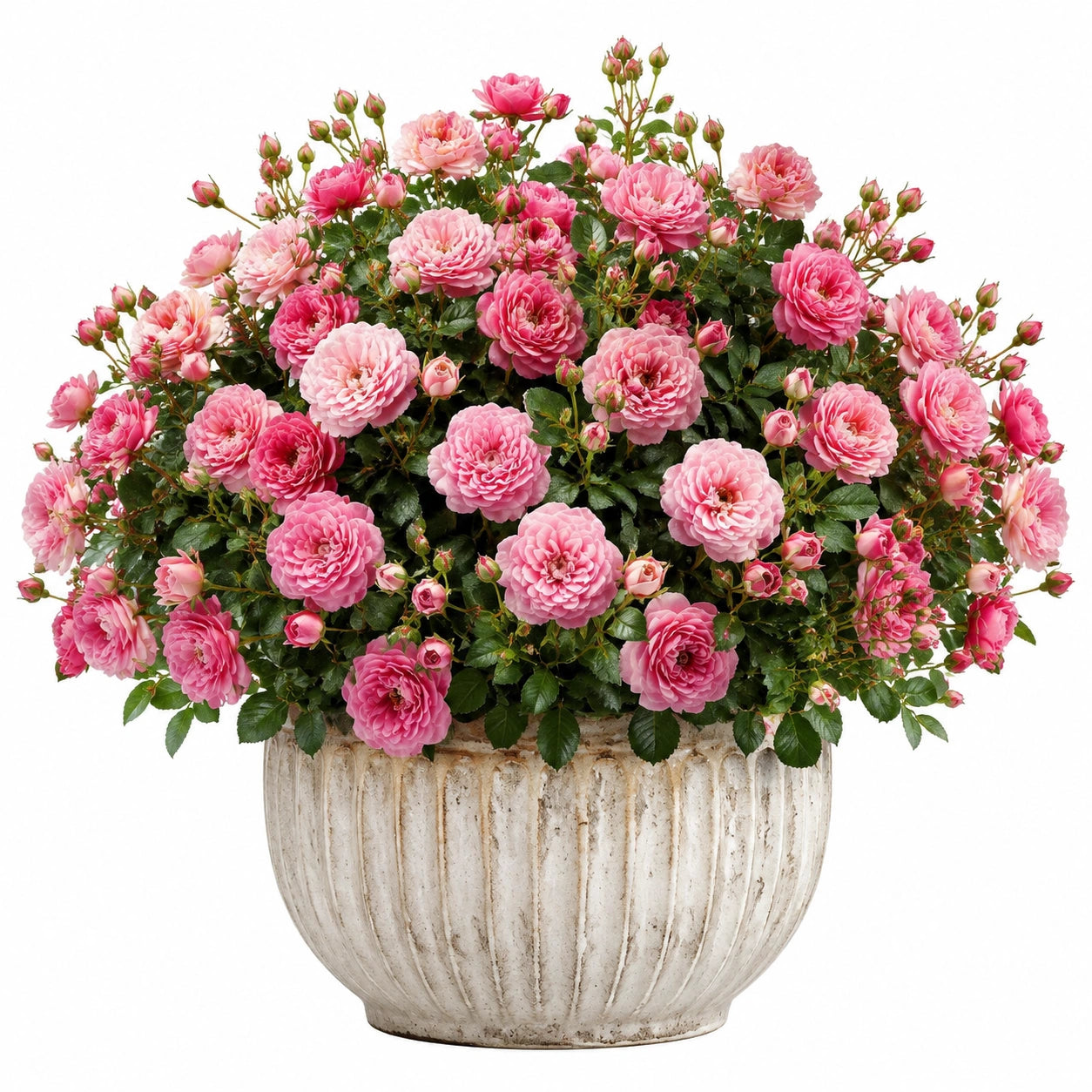 Plante artificielle en pot 60 cm roses roses feuillage vert décorative