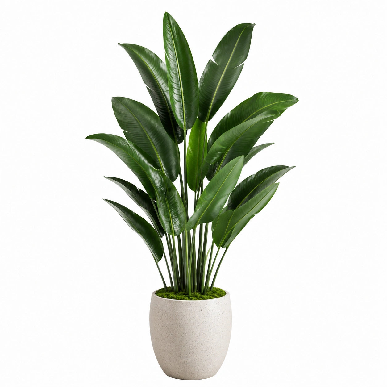 Plante verte artificielle en pot 180 cm feuillage vert style tropical décoratif